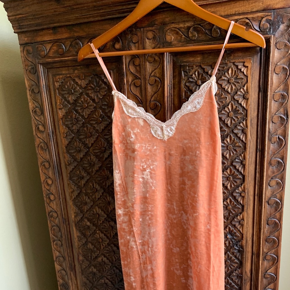 NWT Forever 21 Burnout Velvet Dress M   (D-002)